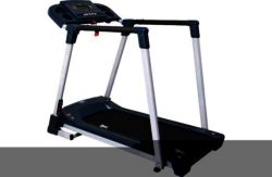 Everlast EV8000 Treadmill with Handrails